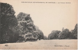 76 - CANTELEU  - Préventorium Départemental  - La Pelouse Centrale - Canteleu