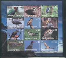 Tonga 2012 Bird Definitives Set Of 12 In Block Format With Margins - Tonga (1970-...)