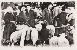 56 - JOSSELIN - 98 - Le Marché Aux Moutons - Josselin