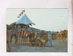 CPM UNITED ARAB EMIRATES, CAMEL RACE - Ver. Arab. Emirate