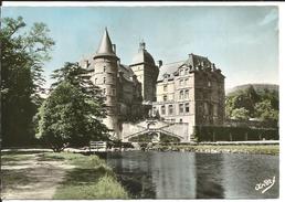 Delcampe - VIZILLE (Isère, 38) Le Château, Résidence Présidentielle - Photo Véritable - - Vizille