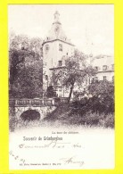 * Grimbergen - Grimberghen (Vlaams Brabant - Bruxelles) * (Ed Nels, Série 11, Nr 172) Tour Du Chateau, Kasteel, Rare - Grimbergen