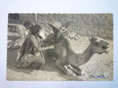 MAURITANIE  :  MAURE  Sellant Sa Monture   1951   - Mauretanien