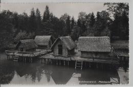 Schönenwerd - Pfahlbauten - Photoglob No. 2041 - Schönenwerd