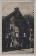 Gasthof Und Soolbad Zum Schiff-Ryburg - Station Möhlin - Besitzer: E. Ackermann - Photoglob No. 06749 - Möhlin