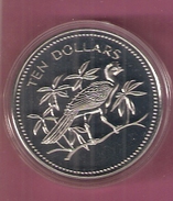 BELIZE 10 DOLLARS 1975 FDC BIRD (SCRATCHES ONLY ON CAPSEL) - Belize