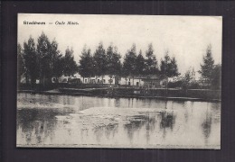 CPA BELGIQUE - Stockheim Oude Maas - Oblitération 1919 - Vieille Meuse Vue Générale - Maasmechelen