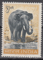 INDIA   SCOTT NO.  364     MNH    YEAR  1962 - Ungebraucht