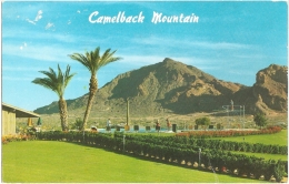 USA - AZ - Camelback Mountain Near Scottsdale, Arizona : ... View From The Paradise Country Club - N° 5-8088-7 [Phoenix] - Phönix