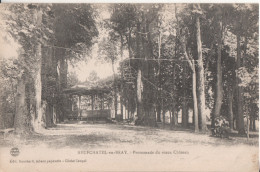 Delcampe - 76   Neufchatel En Bray  Promenade Du Vieux Chateau - Neufchâtel En Bray