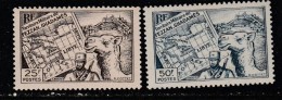 FEZZAN N° 40 ET 42 CARTE NEUF SANS CHAFRNIERE - Unused Stamps