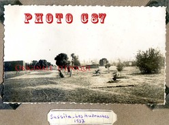 SASSILA Au MALI En 1937 - LES AUTRUCHES < TAILLE De La PHOTO 6.5cm X 10cm - Malí