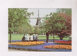 CPM KEUKENHOF LISSE HOLLAND (voir Timbre) - Lisse