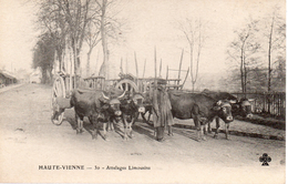 87..23..19..LIMOUSIN...... ATTELAGES LIMOUSINS ....‹(•¿•)› - Other & Unclassified