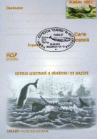 Arrctica, Antarctica, Whale. - Barcos Polares Y Rompehielos