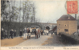 CPA 41 LAMOTTE BEUVRON ATTELAGE DE BŒUFS DE LA COLONIE ST MAURICE 1906 Colorisée - Lamotte Beuvron
