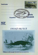 Arctica, Antarctica, Whale. - Polareshiffe & Eisbrecher