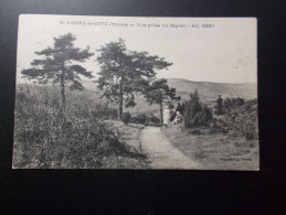 SAINT-ANDRE-LA-CÔTE  Vue Prise Du Signal  1925 Animée - Saint-André-la-Côte