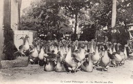 15.....CANTAL... L AUVERGNE...LE MARCHE AUX OIES.......‹(•¿• - Altri & Non Classificati