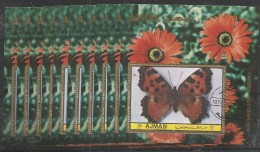 10x AJMAN - Animals - Insects - Garden Butterflies - CTO - Butterflies