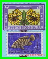 GRAN BRETAÑA  COLONIA DE HONDURAS BRITANICAS  ) SELLOS AÑO 1971 - Honduras Británica (...-1970)
