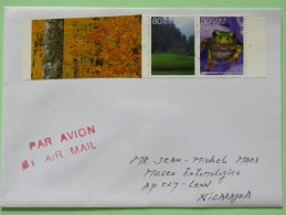 Japan 2010 Cover To Nicaragua - Trees - Frog - Storia Postale