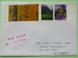 Japan 2010 Cover To Nicaragua - Trees - Frog - Briefe U. Dokumente