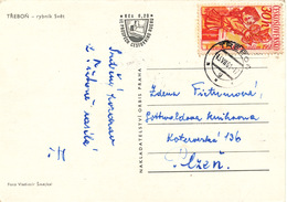 L1535 - Czechoslovakia (1961) Trebon (postcard: Trebon, Pond "World") Tariff: 30 H (stamp: X. Puppet Chrudim 1961) - Puppets