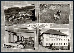 7931 - Alte MBK Ansichtskarte - Waldkirch Bei Waldshut - Gaststätte Gasthof Storchen - N. Gel. - TOP - Waldkirch