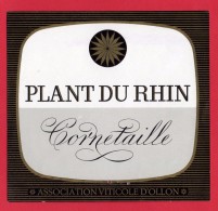 -- PLANT DU RHIN  CORNETAILLE - ASSOCIATION VITICOLE D'OLLON -- - 700 Jaar Zwitserse Confederatie