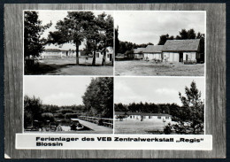 7925 - Alte MBK Ansichtskarte - Ferienlager Regis - Blossin Heidesee - Gel - Dahme