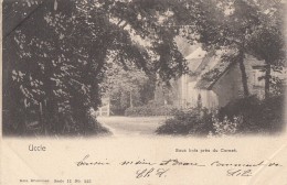 Belgique - Bruxelles Uccle - Sous-Bois Du Cornet - 1905 - Ukkel - Uccle