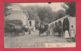 Woluwe-St-Pierre -Café-Restaurant " Les Trois Couleurs " ... Superbe Animation , 3 Calèches - 1911 ( Voir Verso ) - St-Pieters-Woluwe - Woluwe-St-Pierre