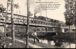 45....LOIRET...CHATILLON COLIGNY..TRAIN...PONT AVEC TABLIER METALLIQUE.......‹(•¿•).... - Montargis