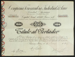 Certificate For 10 Shares Of The Year 1919: Railway Company Compañía Ferrocarrilera E Industrial Del... - Railway & Tramway