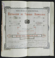 Certificate For 400 Shares Of The Year 1891: Company That EXTRACTED UNDERWATER TREASURES, Very Nice And Rare! - Autres & Non Classés