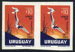 Sc.823, 1972 Birds, IMPERFORATE PAIR, MNH, VF Quality! - Uruguay