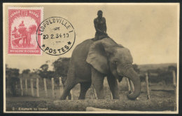 ANIMALS: Elephan At Work, Maximum Card Of DE/1936, VF Quality - Andere & Zonder Classificatie