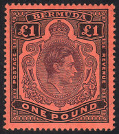 Sc.128b, 1938 George VI 1£ Black And Dark Violet On Salmon Paper, Perf 14, Mint Very Lightly Hinged, VF... - Bermuda