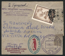 Wrapper For Printed Matter Franked With 1P., Sent From Buenos Aires To The Orkney Islands, With Arrival Mark Of... - Other & Unclassified