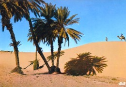 Mauritania Mauritanie - Chameliers Dans Les Dunes - Desert View - Palm Trees - Mauritania