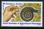TAAF / French Antarctic & Southern Territories 2012 - Notodiscus Hookeri, Escargot Endémique / Endemic Snail - MNH - Coneshells