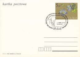 Poznan 1985 Special Postmark - Joseph Kostrzewski - Polish Archaeologist And Museologist - Macchine Per Obliterare (EMA)