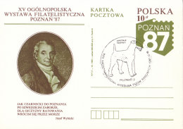 Poznan 1987 Special Postmark - Airedale Terrier Dog - Maschinenstempel (EMA)