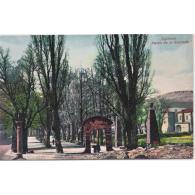 GDLJRTP6777-LFTD4655.Tarjeta Postal DE GUADALAJARA.Campo,arboles Y PASEO De LA ALAMEDA En SIGÜENZA - Guadalajara