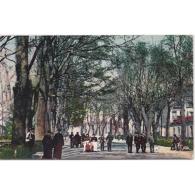 GDLJRTP6779-LFTD4668.Tarjeta Postal DE GUADALAJARA.Personas,arboles,jardines,paseo Central  Y PARQUE SIGÜENZA - Guadalajara