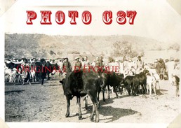 MALI - KATI - MARCHE Aux BESTIAUX En 1939 - BOEUFS  BOEUF  VEAU < TAILLE De La PHOTO 6cm X 8.5cm - Malí