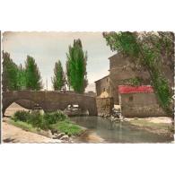 GDLJRTP6783-LFTD5591.Tarjeta Postal DE GUADALAJARA.Casas,arboles,PUENTE Y RIO GALLO En MOLINA DE ARAGON - Guadalajara