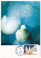TAAF - Carte Maximum - Aragonite - Port Aux Français - 1-1-1990 - Covers & Documents