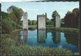 Lussac Les Chateaux - Ruines D'un Manoir Féodal    - Cpsm Gf - Obe2507 - Lussac Les Chateaux